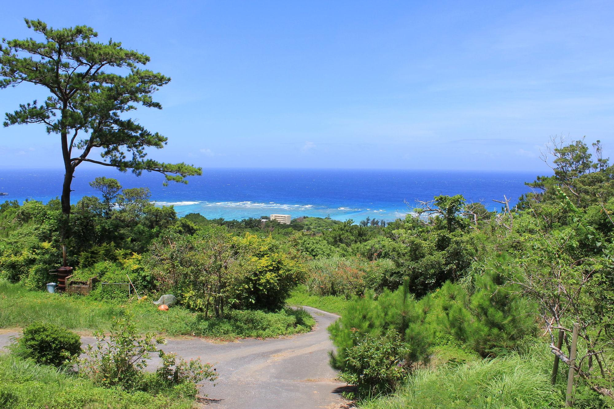 พานอรามา โอเชียน วิว คอตเทจ Villa โมโตบุ ภายนอก รูปภาพ