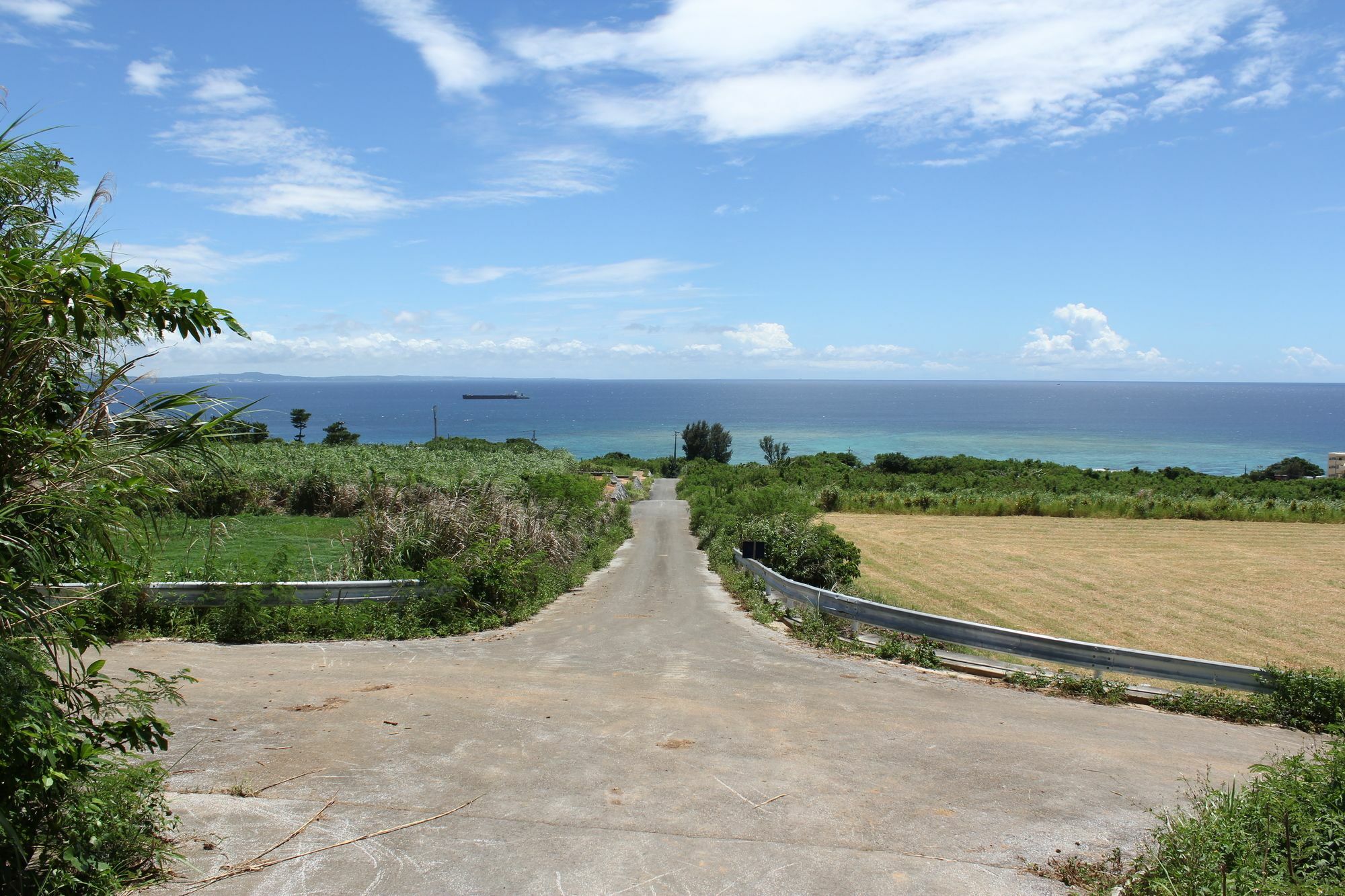 พานอรามา โอเชียน วิว คอตเทจ Villa โมโตบุ ภายนอก รูปภาพ